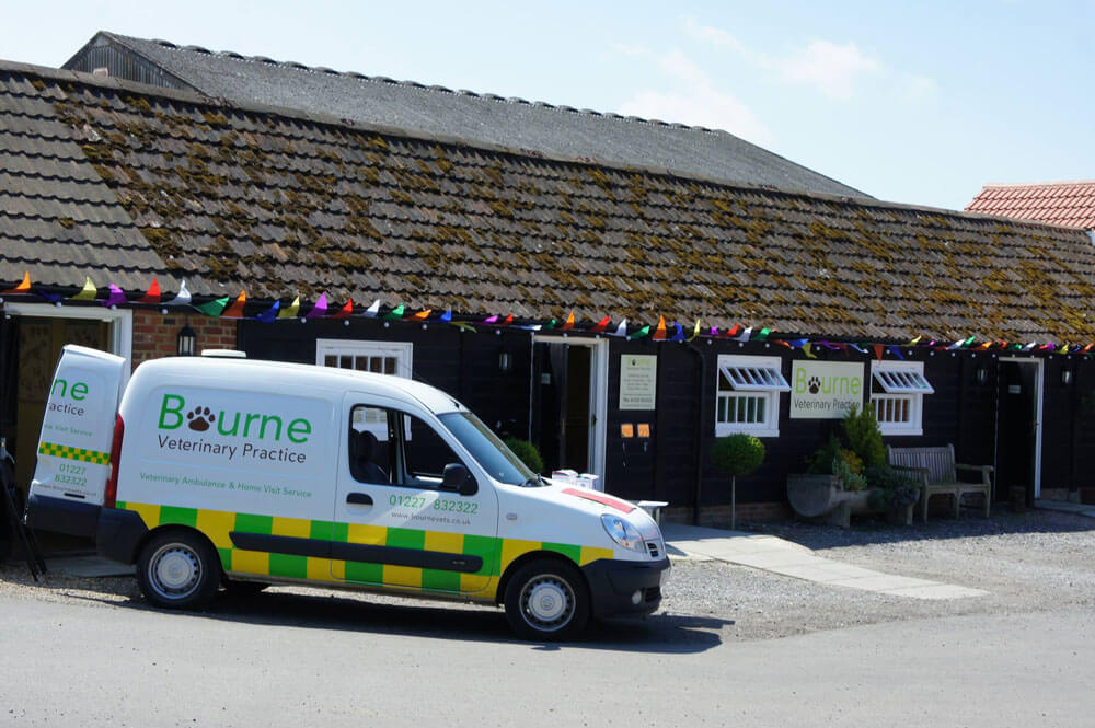 Bourne Veterinary Practice