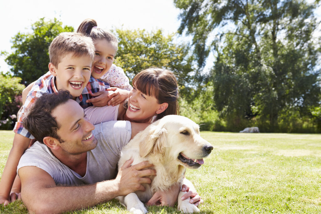 Companion Animal Hospital