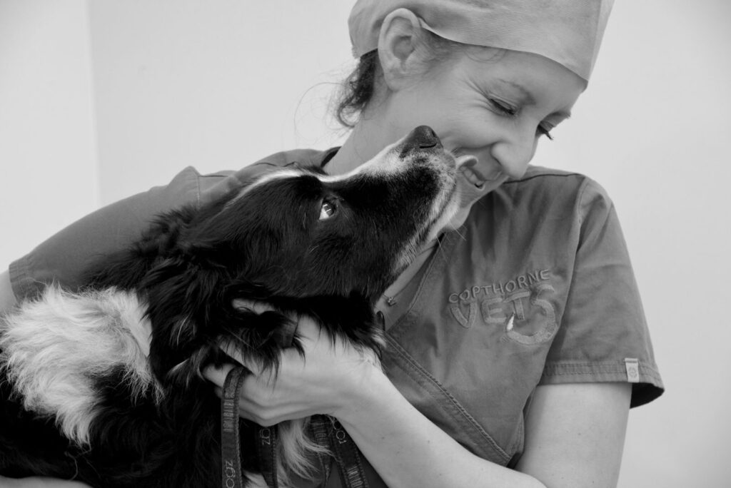 Copthorne Vets
