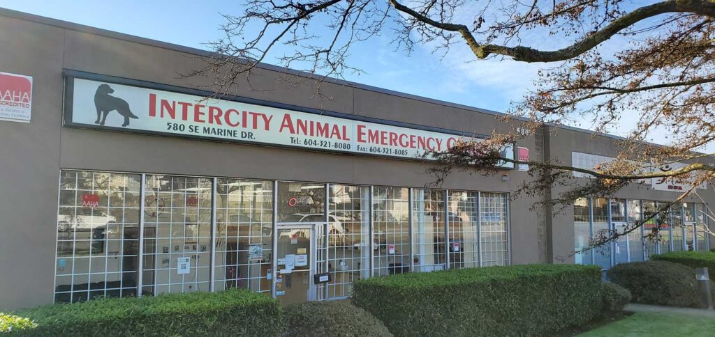 Intercity Animal Emergency Clinic